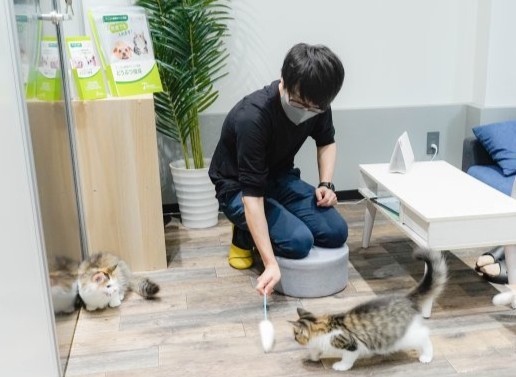 店舗で猫と向き合う齊藤孝信。猫ブリーダーとして飼育環境を確認していた実務の記録