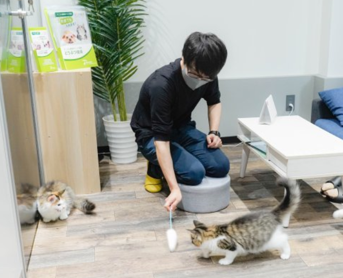 店舗で猫と直接向き合う本人。対面接客と飼育環境を確認する実務の様子