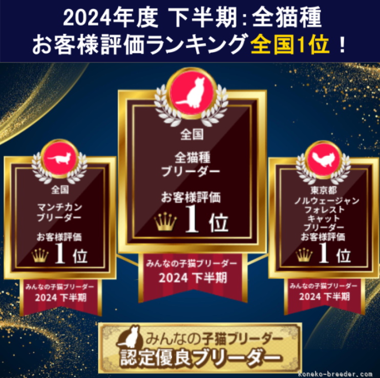 2024年度下半期、全猫種のお客様評価ランキング全国1位の掲載画像